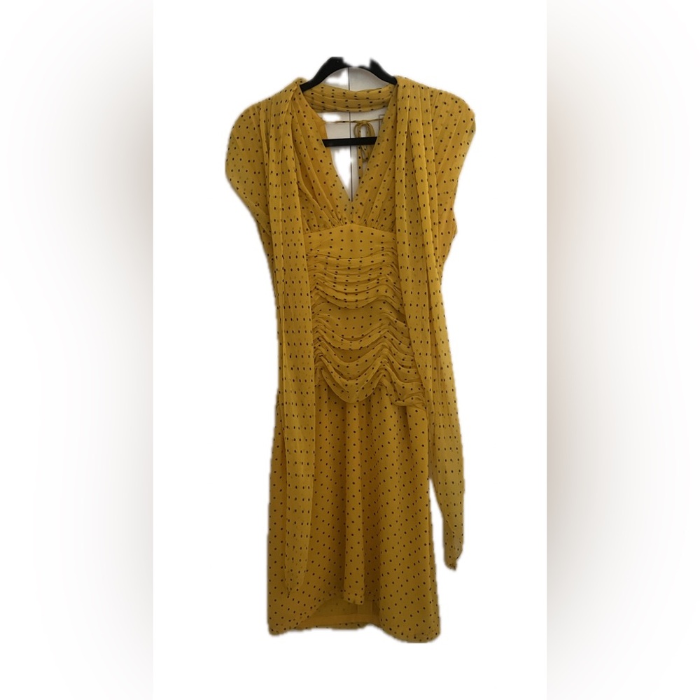 Vintage Silk Chiffon Dress with Matching Scarf